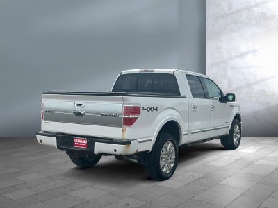 2014 Ford F-150 Platinum